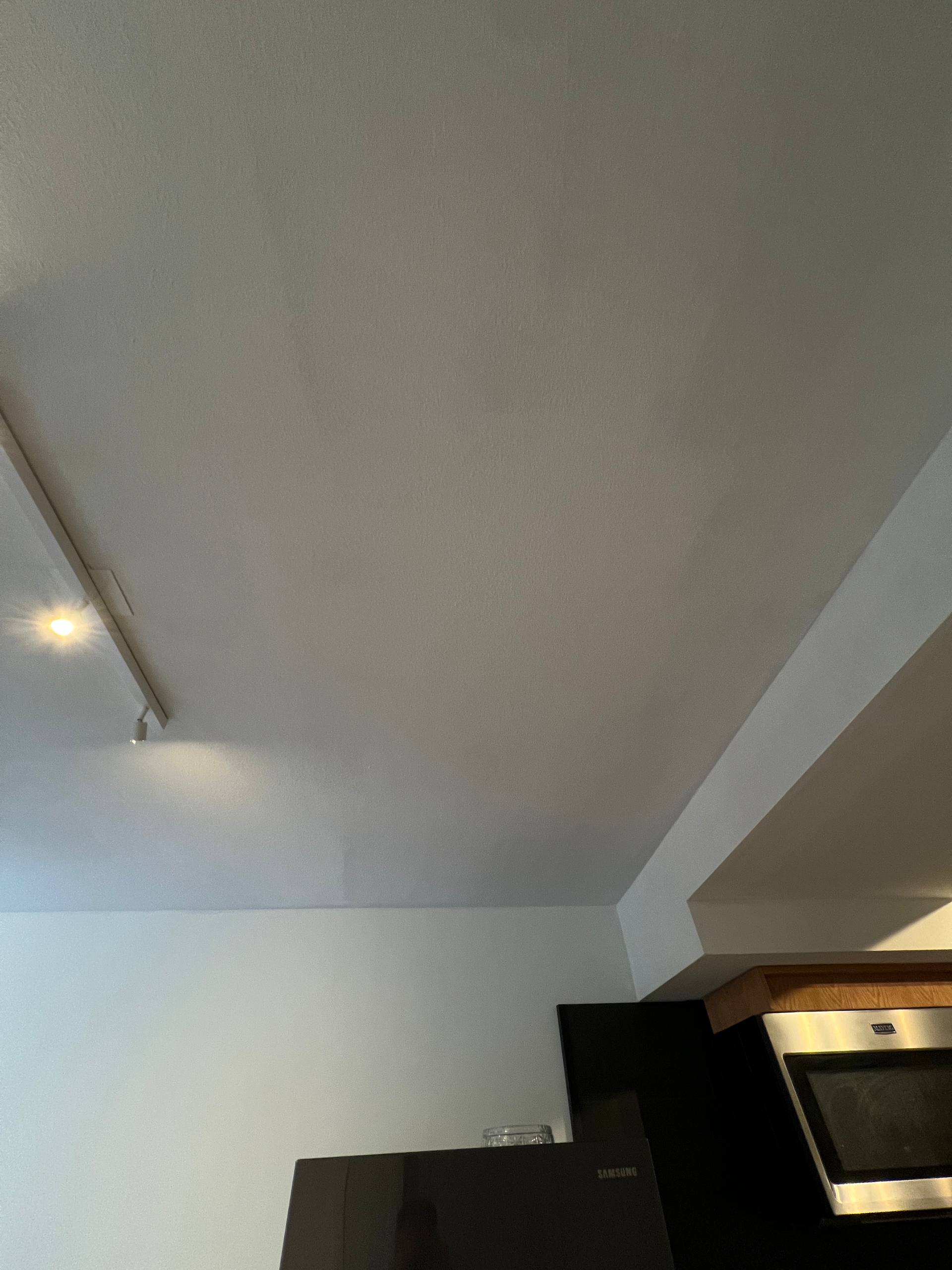 Ceiling repair, before
